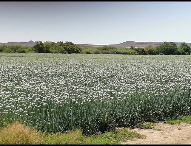 4,642HA FARM FOR SALE IN LEEU GAMKA